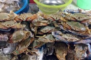 夢中奇遇，螃蟹與魚的共舞，夢中奇遇，螃蟹與魚的共舞