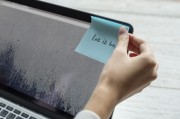 網(wǎng)站流量傳輸方式解析，揭秘高效穩(wěn)定的網(wǎng)絡(luò)世界