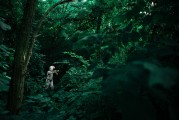 夢境中的你，一場奇妙的套路之旅，夢境中的奇妙套路之旅