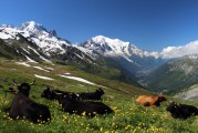 自由的纜車上山之旅，纜車旅行，一次自由探索山區(qū)的美妙體驗