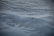 翱翔太空的戰爭游戲——星際爭霸，星際爭霸，浩瀚宇宙中的英勇對決