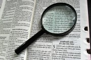 深入解析，如何使用Go語言高效搭建網站，Go語言高效構建網站全攻略揭秘