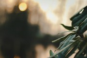 漫漫的ACG之路，尋找和熱愛的那份樂趣，ACG之路上，探索與熱愛的樂趣