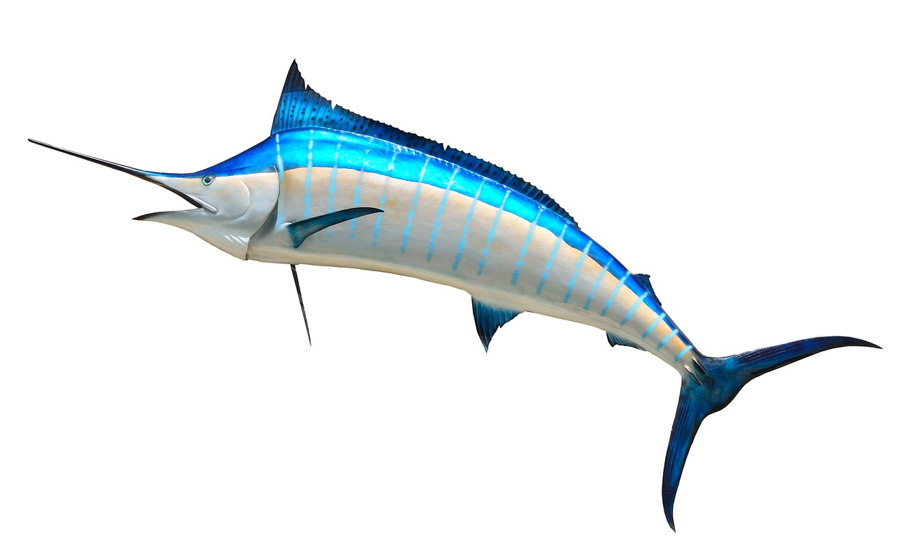 無限制的海洋冒險，游戲釣魚免費下載體驗