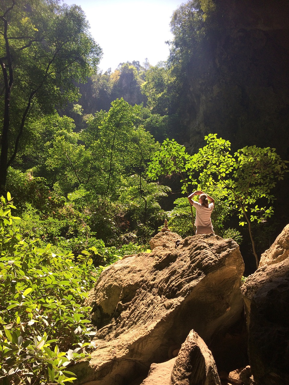 山路之夢，探索未知的旅程