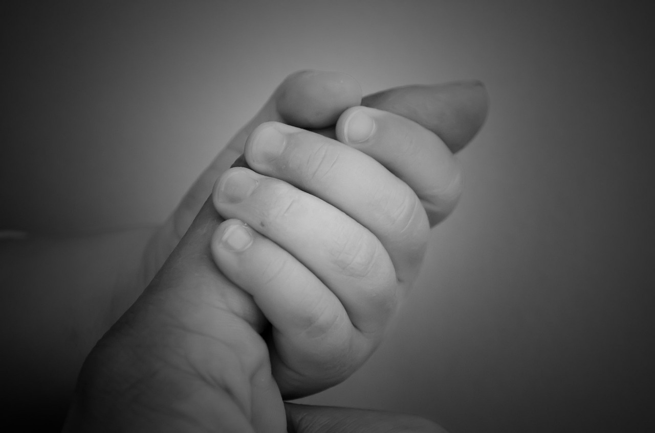 孕婦夢到狼，寓意與解讀