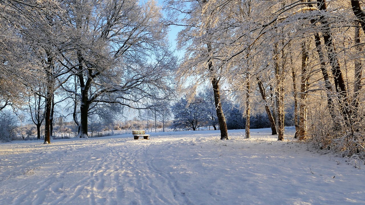 冰雪奇緣游戲——讓你置身于一個全新的冰雪世界！