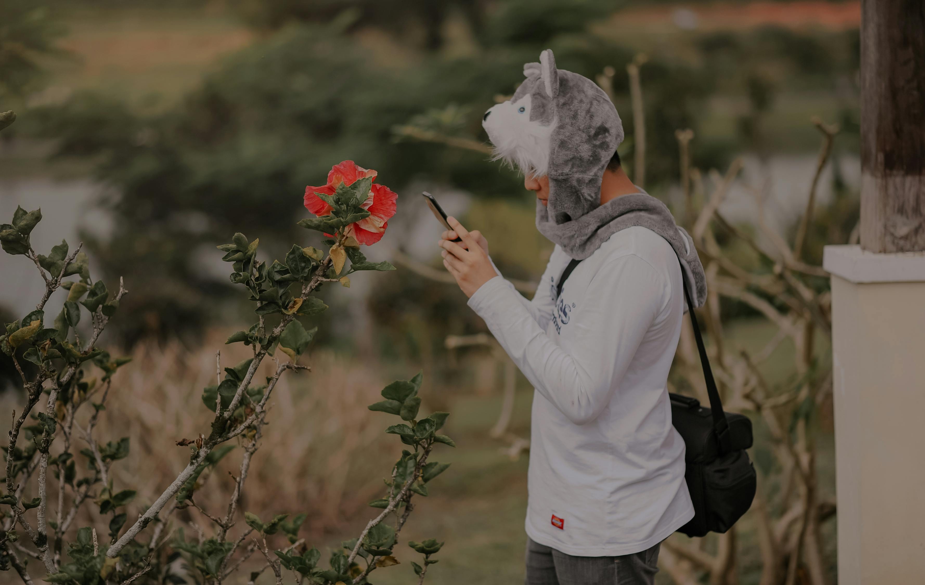 夢中情深——我與我的愛妻