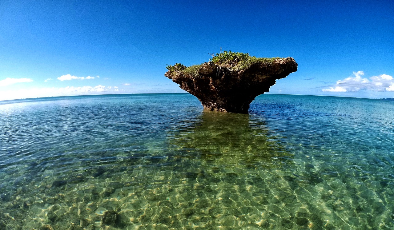 鯊魚游戲免費下載，帶你體驗最真實的海洋世界
