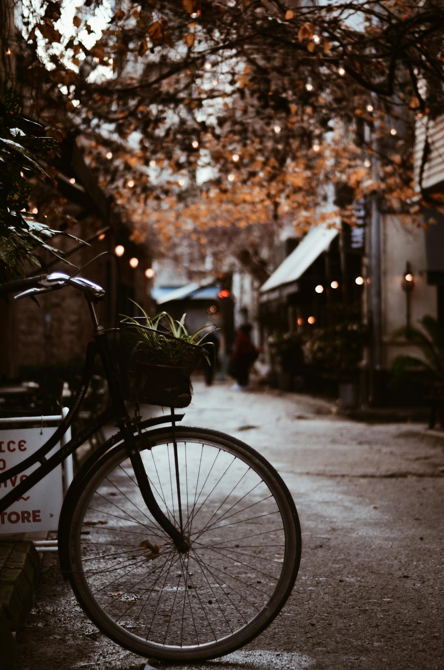 夢中的電車之旅，一次難忘的騎行體驗