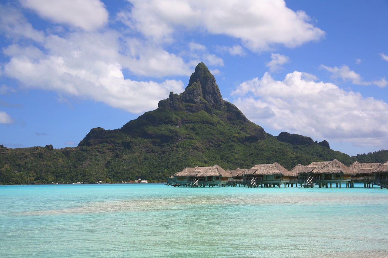 夢海之游，一次海邊游泳的奇幻之旅