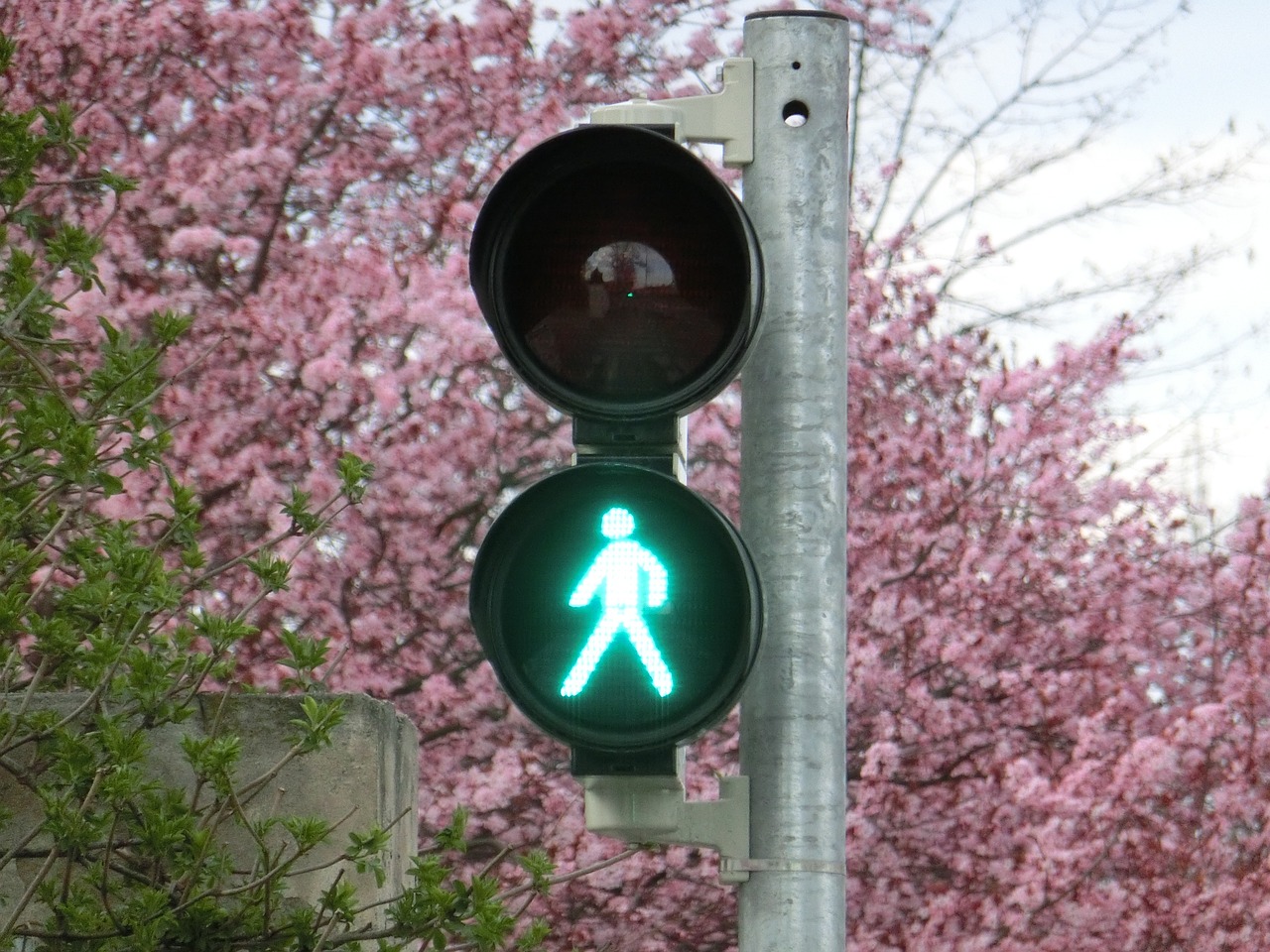 新車輪胎發黃的原因是什么？如何預防和處理這一問題？