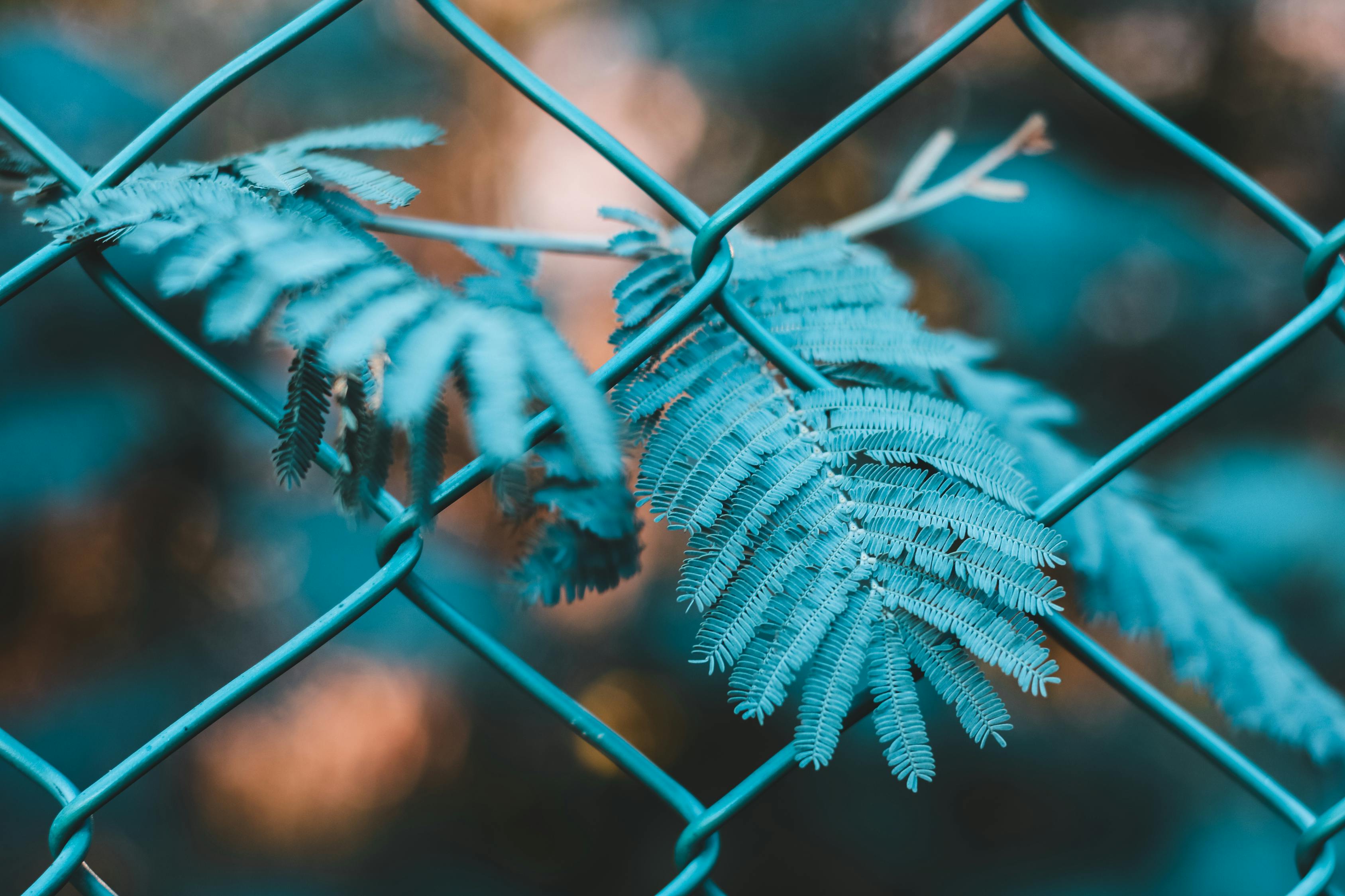 如何進行有效的網站SEO優化？