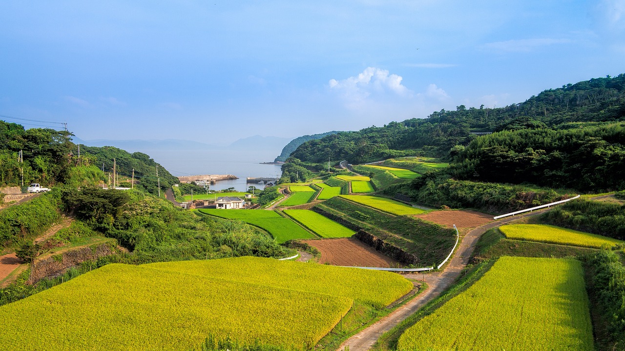 湘西網站流量，助力鄉村振興的數字引擎