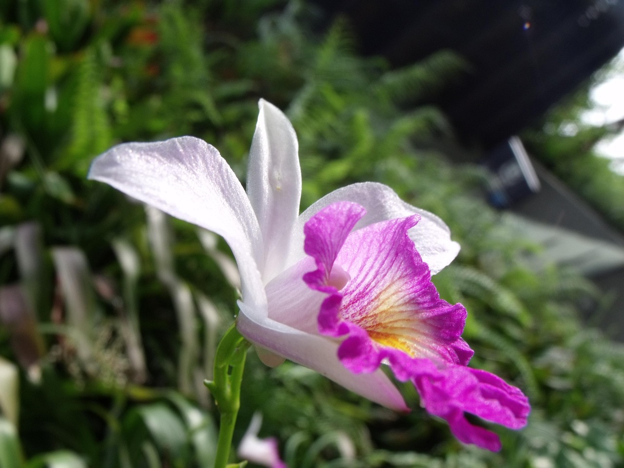 百合花凈利潤預(yù)增超43% 需求回暖與子公司扭虧成關(guān)鍵驅(qū)動(dòng)