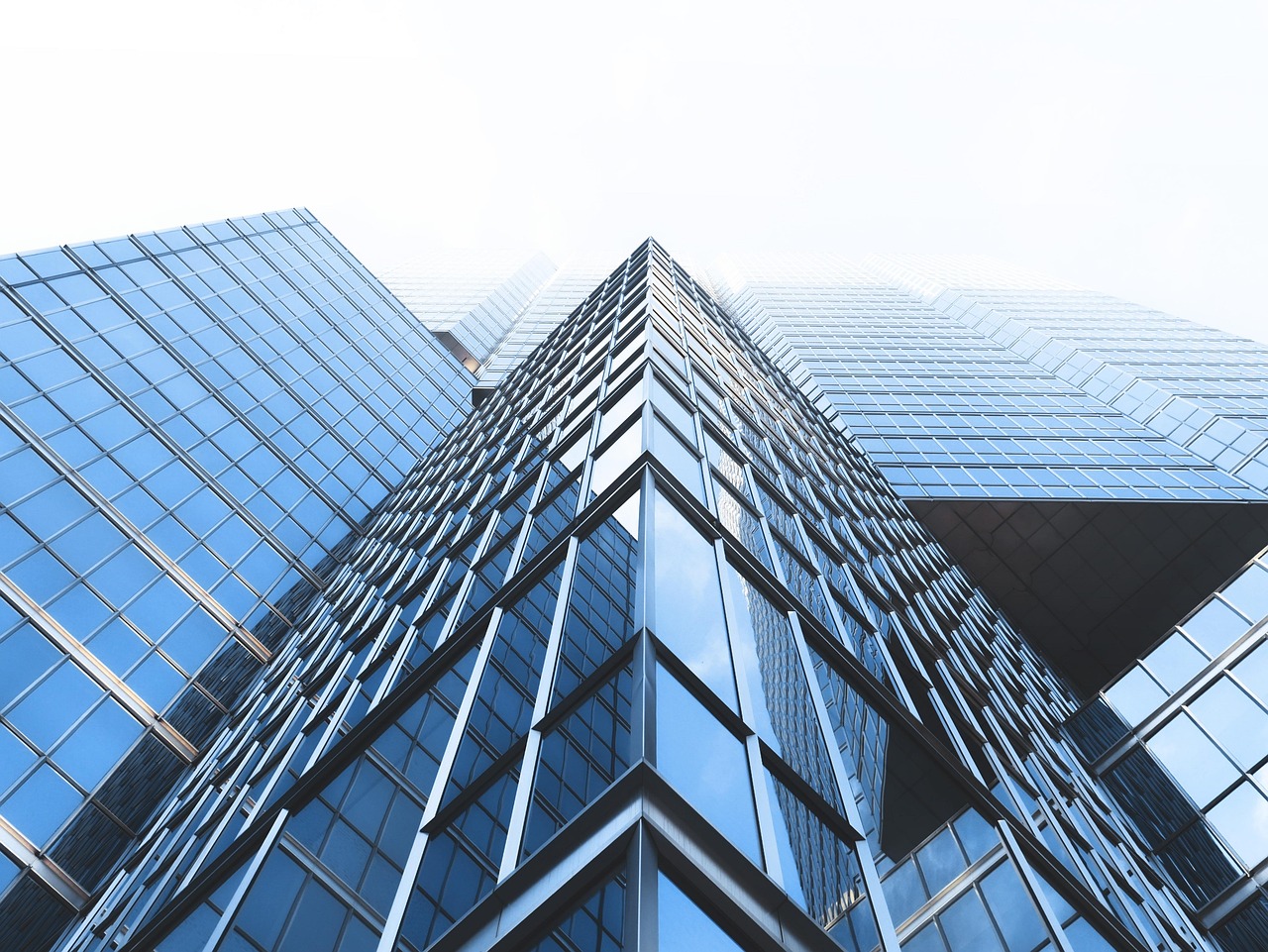 金科環境(688466.SH)：公司副總經理廖翔辭職，不再擔任公司任何職務