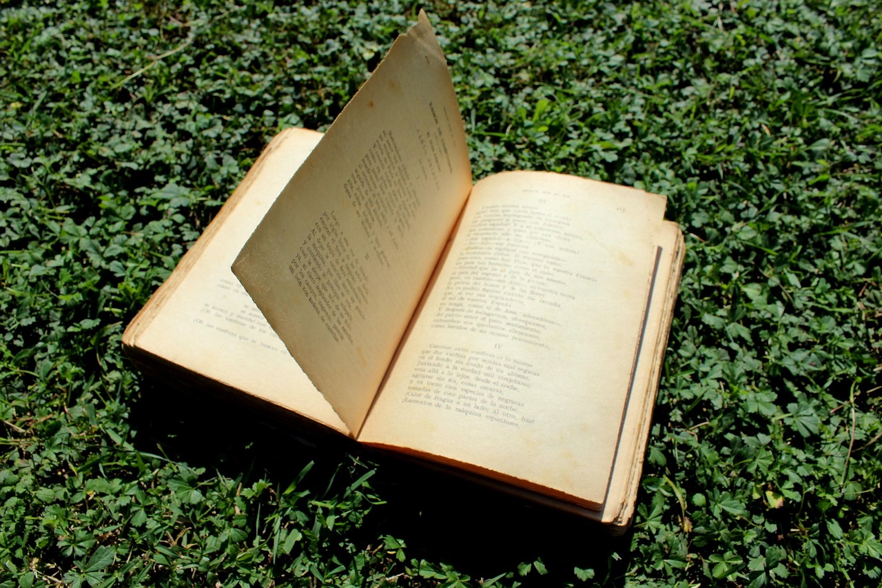 情感書單網站排名，探尋心靈慰藉的閱讀圣地，心靈療愈指南，情感書單網站排行揭秘