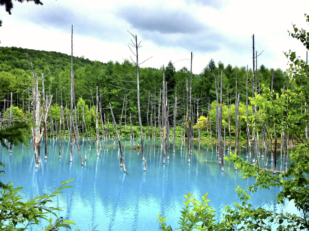 夢(mèng)中邂逅，那片美麗的風(fēng)景