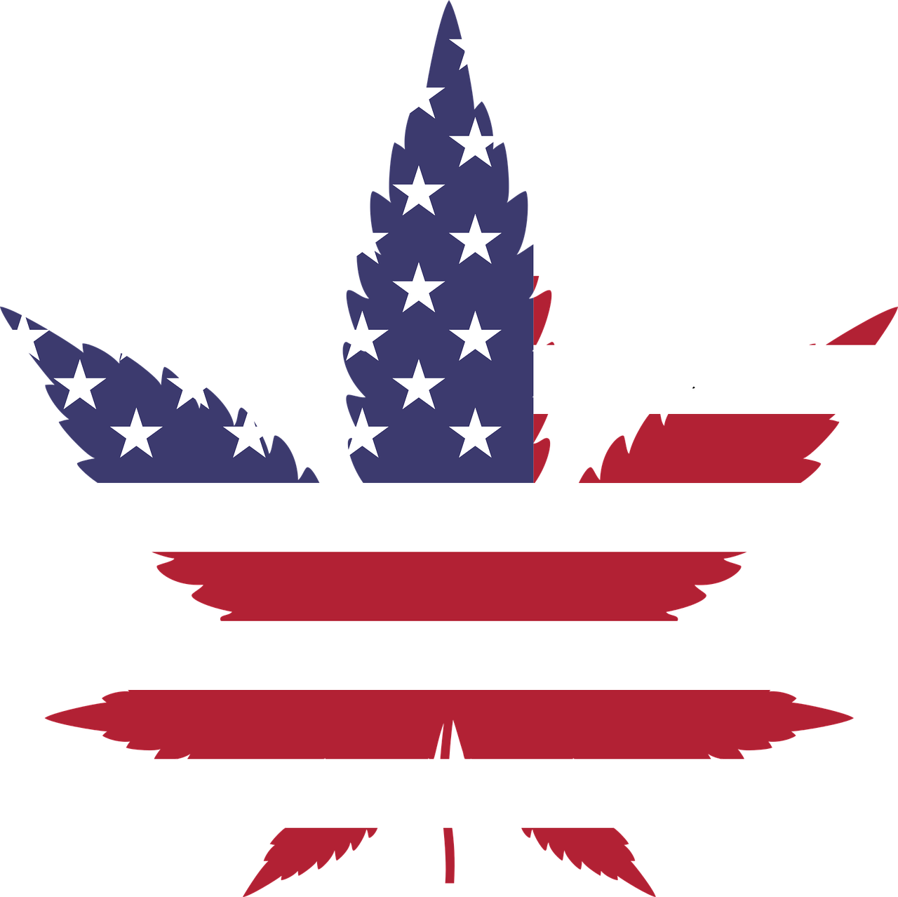 華熙生物：美國市場營收占比不足3%，關稅調整影響有限