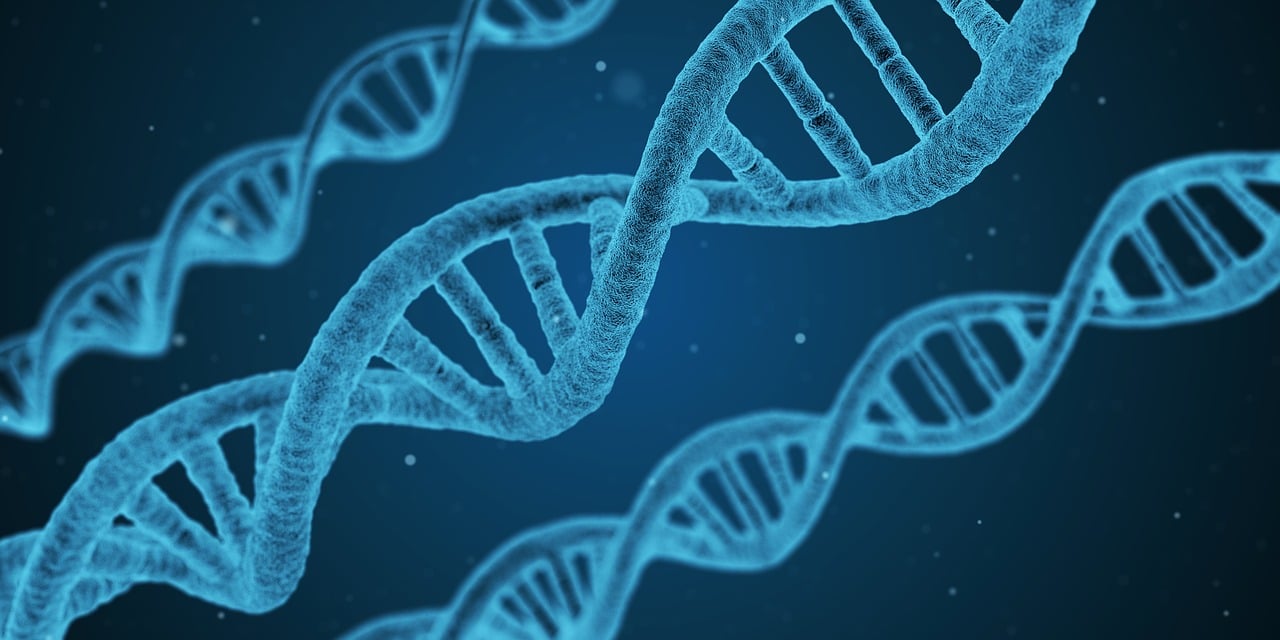 科倫藥業(002422)：主業穩健 合成生物新品、創新藥多輪驅動增長