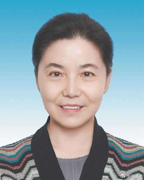 重磅！丁向群出任中國人保黨委書記