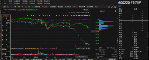 江蘇陽光有非經營性資金占用和業績預告變臉！