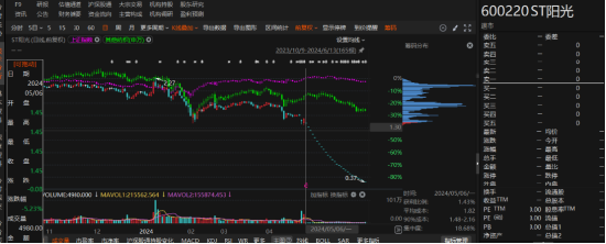 江蘇陽光有非經營性資金占用和業績預告變臉！