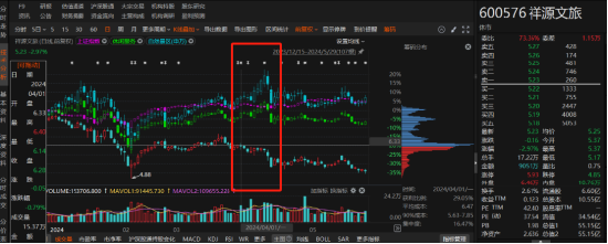 祥源文旅非經營性資金占用雖已歸還，但仍被出具警示函！