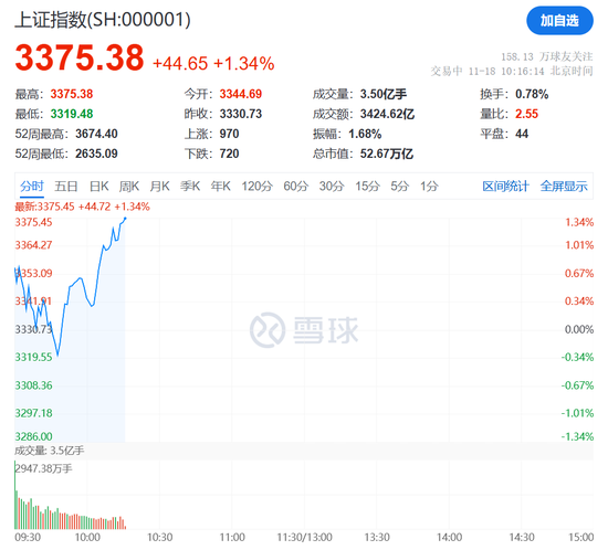 突然狂拉！多股漲停