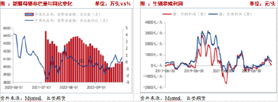 長安期貨：壓力猶在，玉米短期震蕩調整