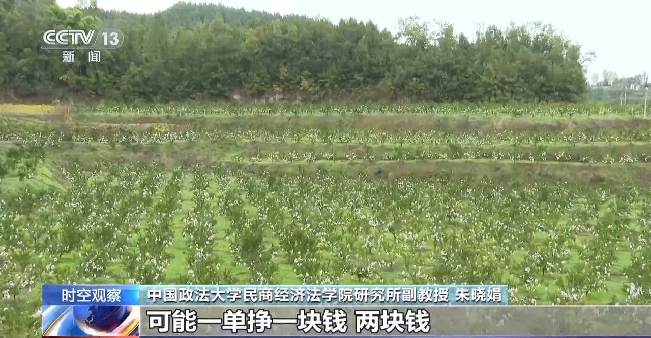 “僅退款”成電商平臺標配 濫用服務“薅羊毛”可能構成犯罪