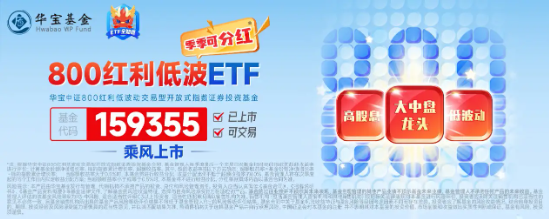 市值管理新政出臺+分紅手續費減半征收,紅利再迎利好催化!全市場唯一800紅利低波ETF(159355)漲逾1%,連漲3日