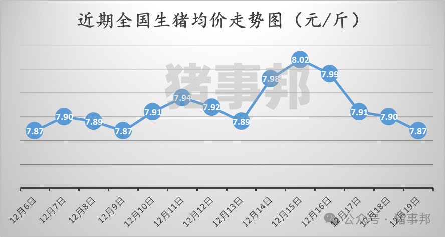 12月19日豬價(jià)匯總（情緒偏差，均價(jià)跌4天！）