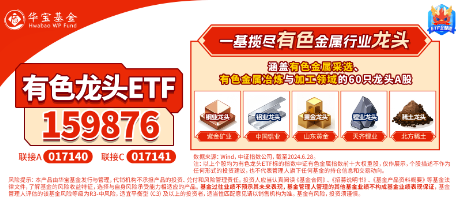 有色蓄勢(shì)高飛！有色龍頭ETF（159876）盤中逆市漲超3%！銅、金、鋁攜手上攻，北方銅業(yè)漲停封板