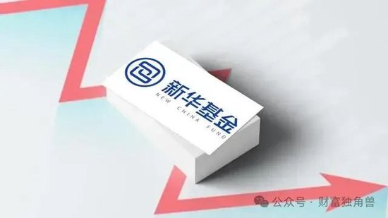 新華基金賴慶鑫在管7只基金6只虧損，高位持有國聯股份被質疑
