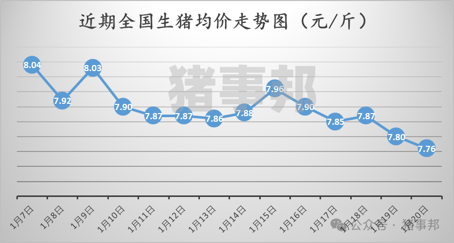 1月20日豬價匯總（多數延續跌勢！）