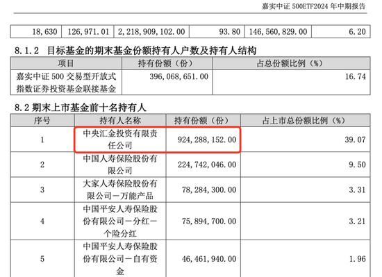 中央匯金，加倉！