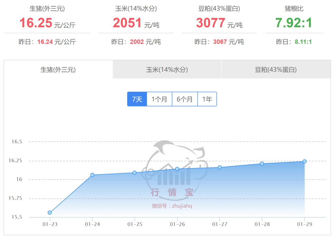 2025年1月30日國內生豬價格一覽