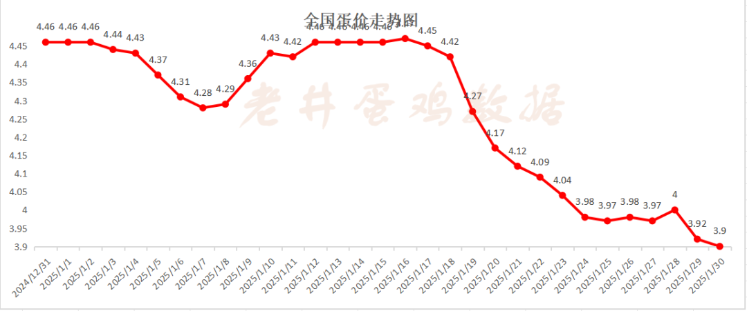 老井扯雞蛋：昨日全國(guó)雞蛋均價(jià)、淘汰雞均價(jià)均偏弱！