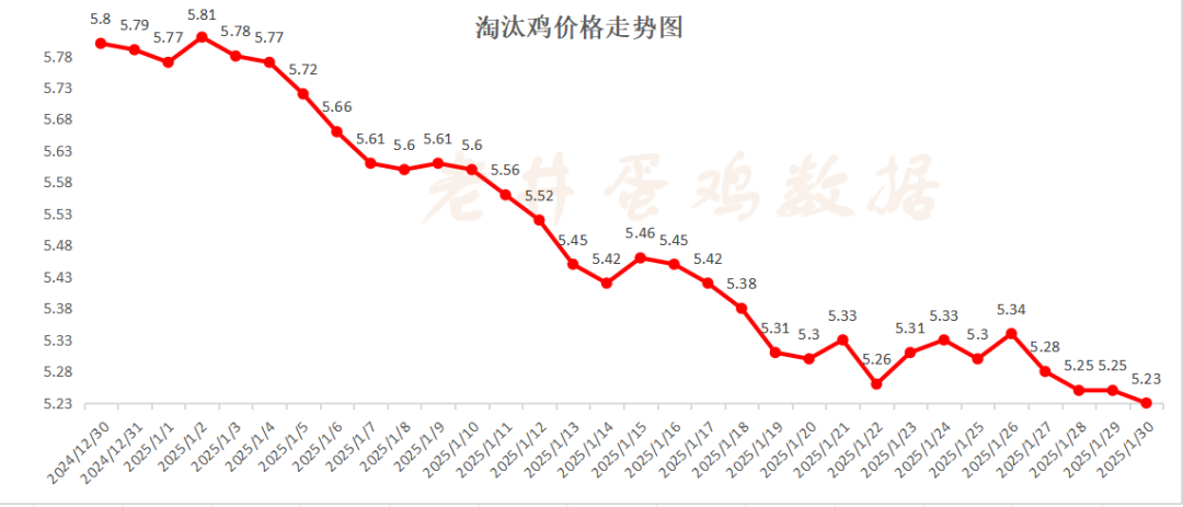 老井扯雞蛋：昨日全國(guó)雞蛋均價(jià)、淘汰雞均價(jià)均偏弱！