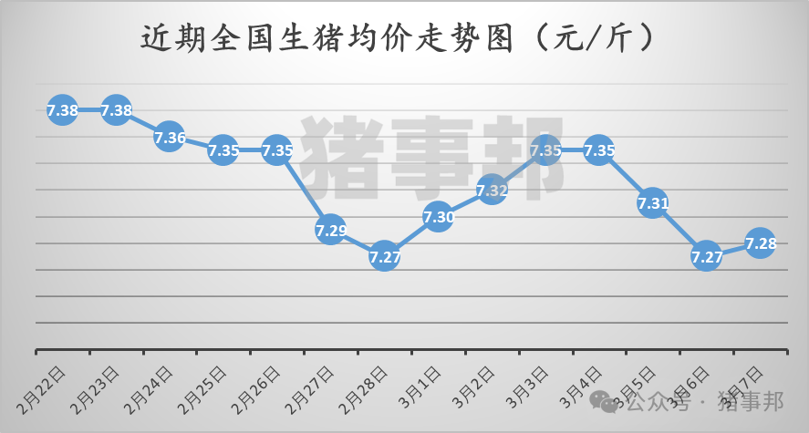 3月7日豬價匯總（北方稍強，南方稍弱！）