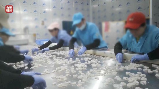 3·15晚會丨“保水蝦仁”，浮出水面！1斤蝦仁7兩冰……