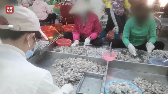 3·15晚會丨“保水蝦仁”，浮出水面！1斤蝦仁7兩冰……