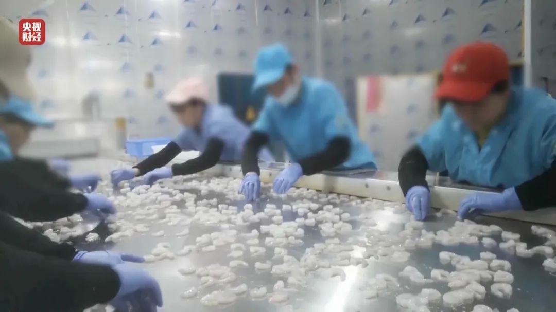 查封！關停！各地多部門連夜查處3·15曝光問題