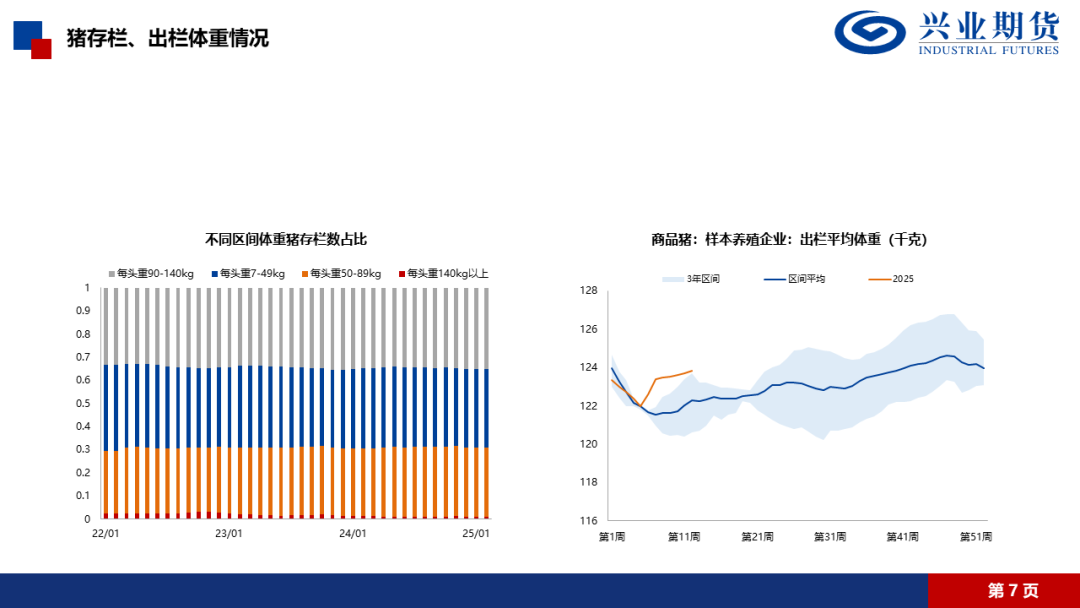 【興期研究·品種聚焦】生豬：消費需求預(yù)計改善，下方仍有支撐