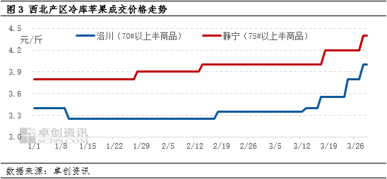 卓創資訊：清明節市場需求良好 產地蘋果價格上漲