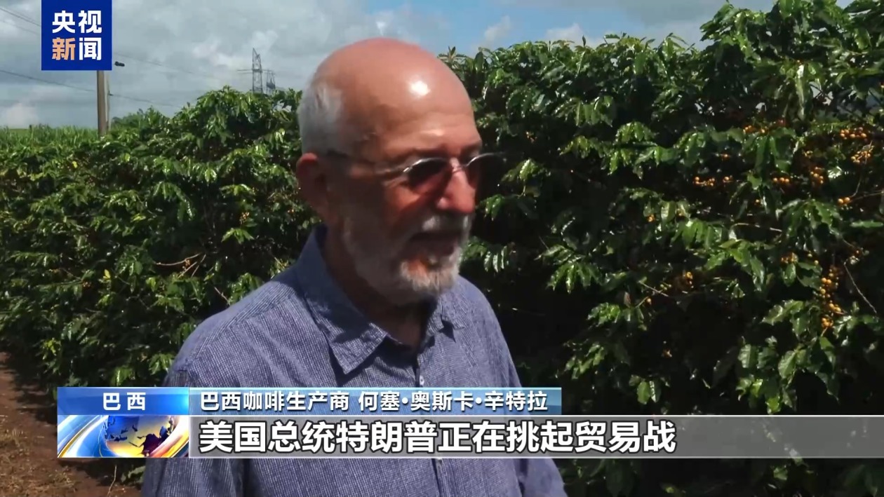 美關稅新政推高巴西咖啡成本 行業人士稱貿易戰無贏家