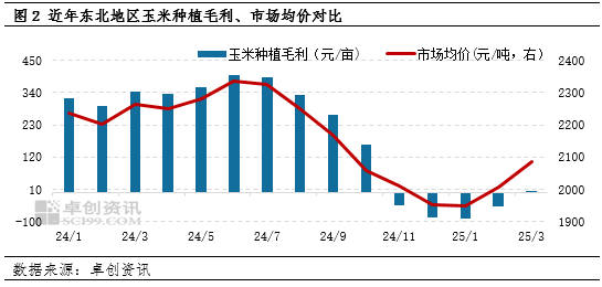 “玉”你同行：一季度東北玉米價格持續攀升，新季種植面積如何？
