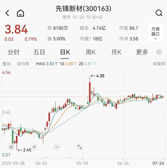 因涉嫌信息披露違法違規，先鋒新材及總經理盧先鋒被立案