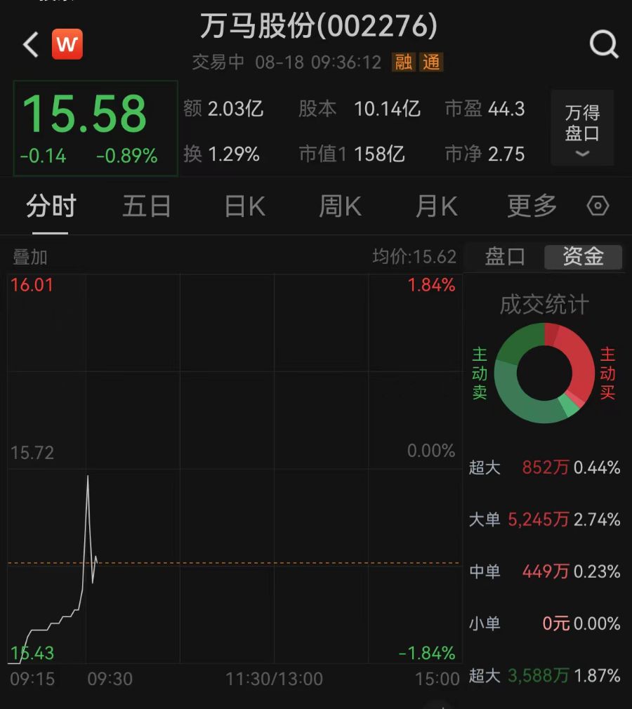 10億投資晚披露兩個月！萬馬股份收警示函，時任董事長已辭職